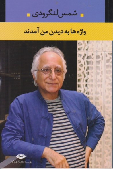 واژه ها به دیدن من آمدند /لنگرودی