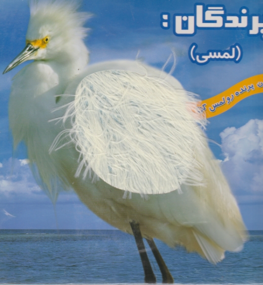 پرندگان (لمسی ) / خانه ادبیات