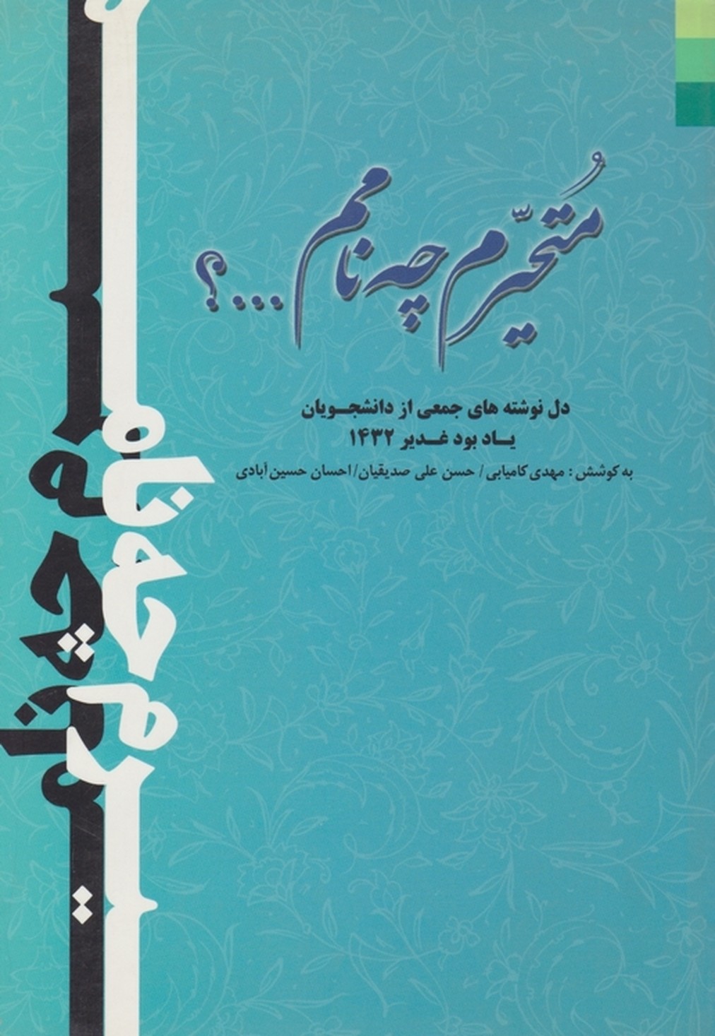 متحیرم چه نامم…؟/دل نوشته یادبودغدیر