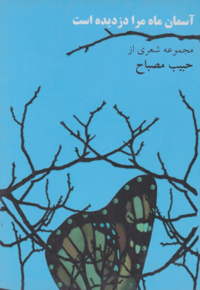 آسمان ماه مرا دزدیده است(شعر)