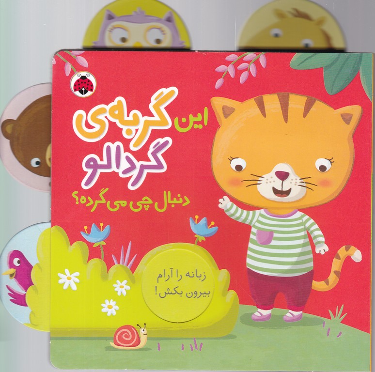 دنبال چی می گرده(این گربه گردالو)