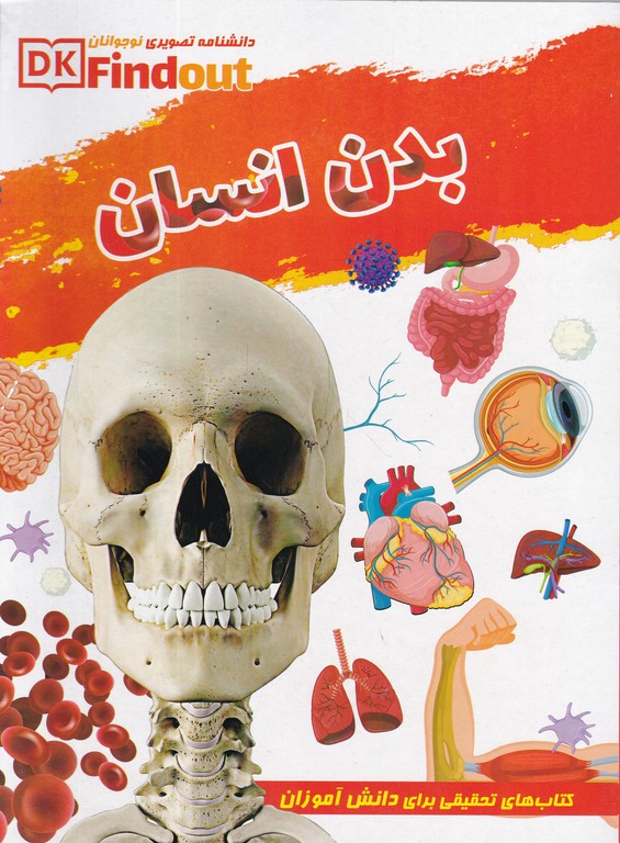 دانشنامه تصویری نوجوانان(بدن انسان)