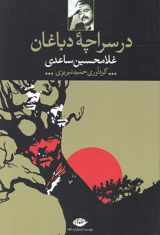 در سراچه دباغان
