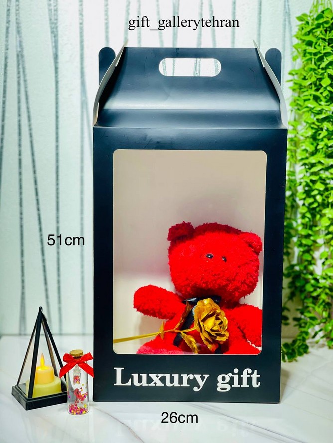 ساک طلقی ویترینی