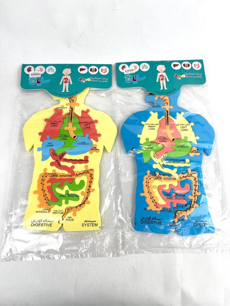 پازل آموزشی اعضای بدن انسان فومی/سایان