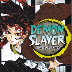 رمان Demon slayer 20