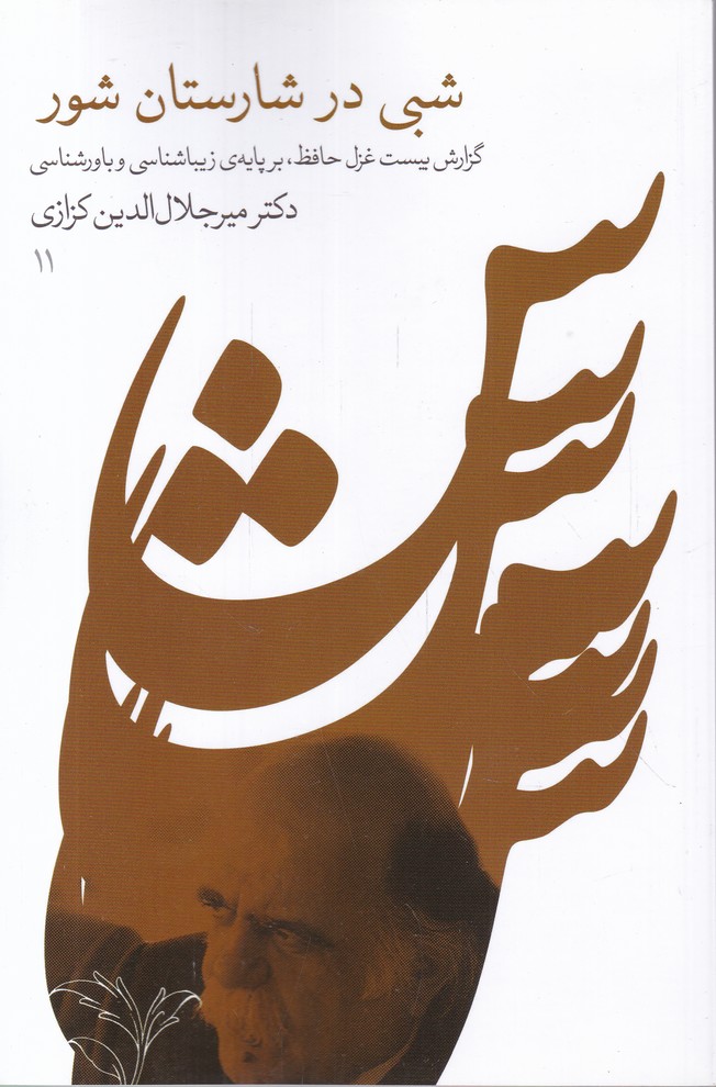 شبی در شارستان شور